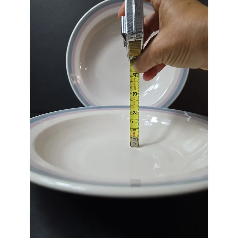 2 Pfaltzgraff Aura Pink Pasta Bowls - 10” Discontinued (Read Description)